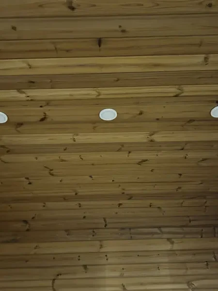 Plafond lambrissé clair d’un sauna cube 4 m, équipé de spots encastrés.